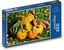Dýně - tykve, sklizeň Puzzle 260 dílků - 41 x 28,7 cm