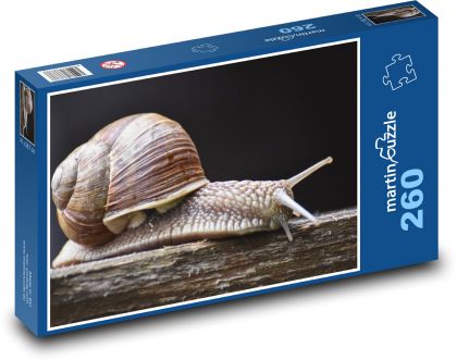 Šnek - hlemýžď, ulita - Puzzle 260 dílků, rozměr 41x28,7 cm