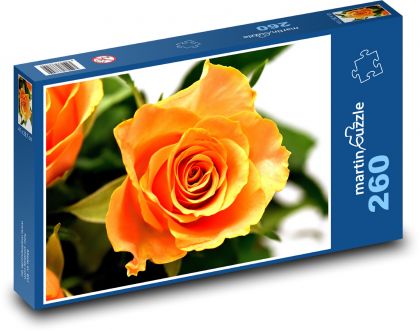 Orange Rose - Puzzle 260 pieces, size 41x28.7 cm 