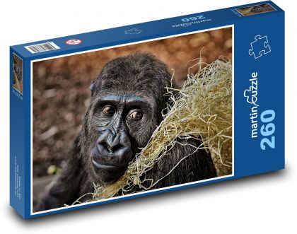 Gorila - primát, opice - Puzzle 260 dílků, rozměr 41x28,7 cm