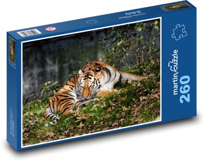 Tygr - dravá kočka, zvíře - Puzzle 260 dílků, rozměr 41x28,7 cm