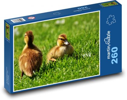 Kačica - mláďatá, kačice - Puzzle 260 dielikov, rozmer 41x28,7 cm