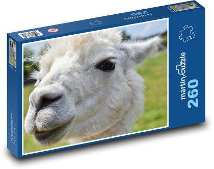 Weißes Alpaka - Puzzle - 260 Teile