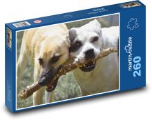 Stafford - crossbreed, dogs Puzzle 260 pieces - 41 x 28.7 cm