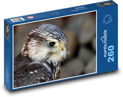 Sokol - dravec, pták - Puzzle 260 dílků, rozměr 41x28,7 cm