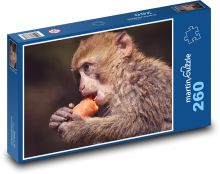 Opice - mládě, savec Puzzle 260 dílků - 41 x 28,7 cm