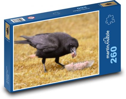 Raven - bird, predator - Puzzle 260 pieces, size 41x28.7 cm 