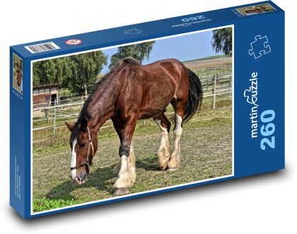 Kůň - jezdecký, zvíře - Puzzle 260 dílků, rozměr 41x28,7 cm