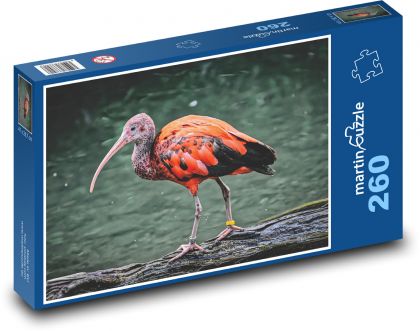 Ibis chick - Puzzle 260 pieces, size 41x28.7 cm 