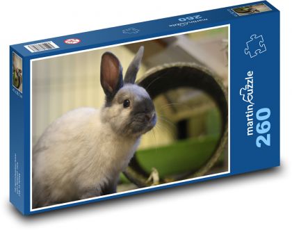 Zakrslý králík - domácí zvíře - Puzzle 260 dílků, rozměr 41x28,7 cm