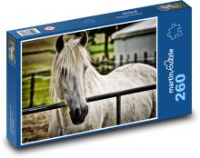 Horse in enclosure Puzzle 260 pieces - 41 x 28.7 cm