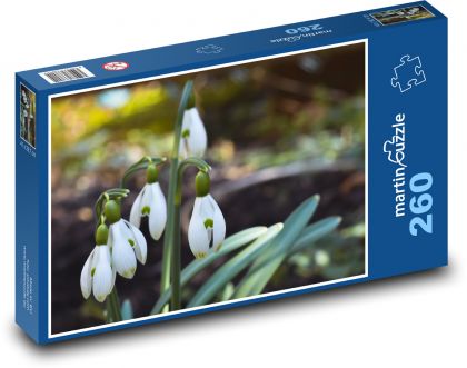 Schneeglöckchen - Frühlingsblumen - Puzzle - 260 Teile