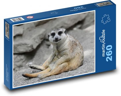 Surikata - zoo, zvíře - Puzzle 260 dílků, rozměr 41x28,7 cm