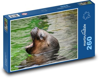 Sea lion - animal, nature - Puzzle 260 pieces, size 41x28.7 cm 