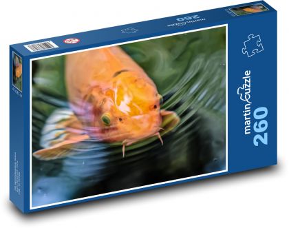 Koi - japonská ryba - Puzzle 260 dílků, rozměr 41x28,7 cm