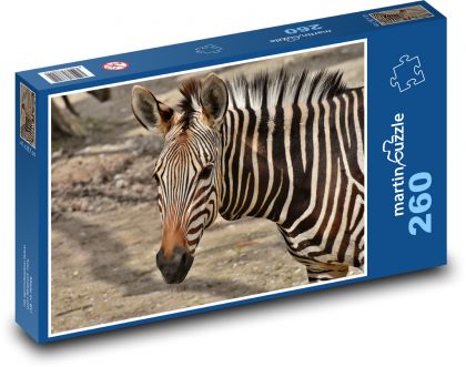 Zebra - divoké zvíře - Puzzle 260 dílků, rozměr 41x28,7 cm