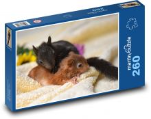 Squirrel - cubs, babies Puzzle 260 pieces - 41 x 28.7 cm 