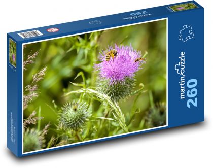 Thistle, bee, flower - Puzzle 260 pieces, size 41x28.7 cm 