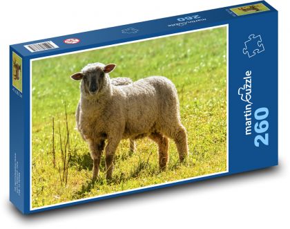 Sheep - wool, grass - Puzzle 260 pieces, size 41x28.7 cm 