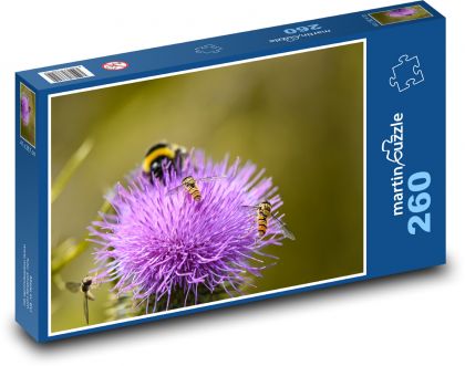 Thistle - bumblebee, flower - Puzzle 260 pieces, size 41x28.7 cm 