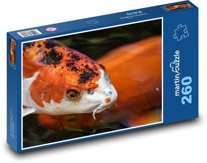 Koi - ryba, exotický - Puzzle 260 dílků, rozměr 41x28,7 cm