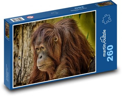 Orangutan - opice, zoo - Puzzle 260 dílků, rozměr 41x28,7 cm