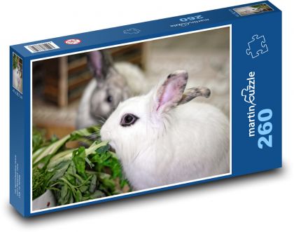 Królik miniaturowy - zwierzę domowe - Puzzle 260 elementów, rozmiar 41x28,7 cm