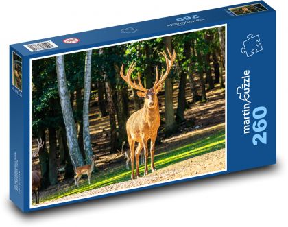 Divoká zvěř - jelen, zvíře - Puzzle 260 dílků, rozměr 41x28,7 cm