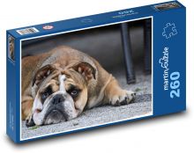 Dog, bulldog, puppy Puzzle 260 pieces - 41 x 28.7 cm