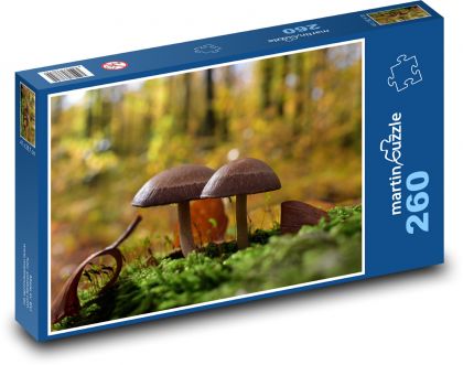 Huba - muchotrávka, les - Puzzle 260 dielikov, rozmer 41x28,7 cm