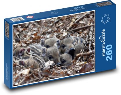 Dzikie świnie - prosięta - Puzzle 260 elementów, rozmiar 41x28,7 cm