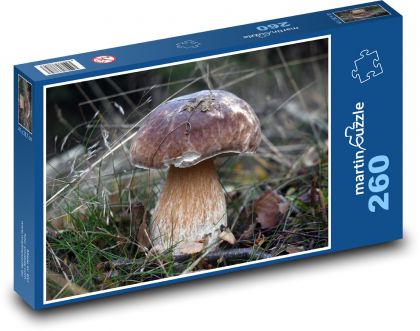 Mushroom - boletus, autumn - Puzzle 260 pieces, size 41x28.7 cm 