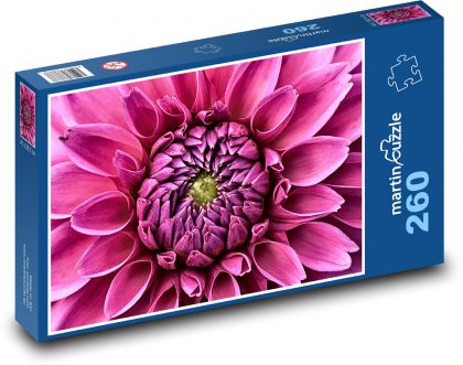 Różowa dalia - kwiat, ogród - Puzzle 260 elementów, rozmiar 41x28,7 cm