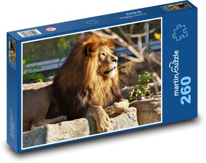 Lev - velká kočka, hříva - Puzzle 260 dílků, rozměr 41x28,7 cm