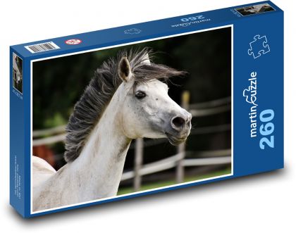 Weißes Pferd - Tier, Reiten - Puzzle - 260 Teile