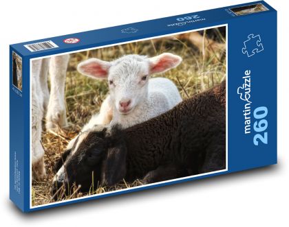 Jehně - ovce, farma - Puzzle 260 dílků, rozměr 41x28,7 cm