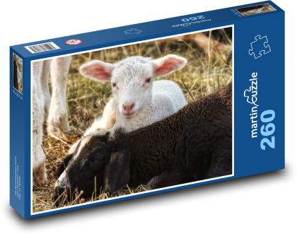 Jehně - ovce, farma - puzzle 260 dílků
