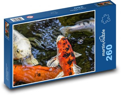Japonská ryba - Koi, kapr - Puzzle 260 dílků, rozměr 41x28,7 cm