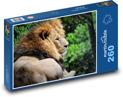 Lev - divoká šelma - puzzle 260 dílků