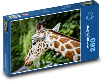 Žirafa - Afrika, zoo - Puzzle 260 dílků, rozměr 41x28,7 cm