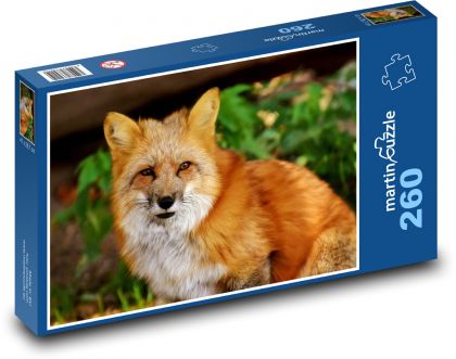 Líška - divoké zviera, les - Puzzle 260 dielikov, rozmer 41x28,7 cm