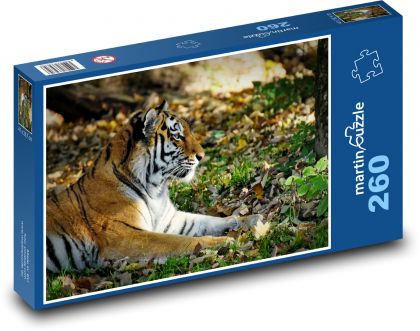 Tygr - dravec, velká kočka - Puzzle 260 dílků, rozměr 41x28,7 cm