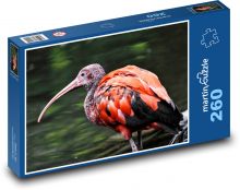 Ibis - mláďa, vták Puzzle 260 dielikov - 41 x 28,7 cm 