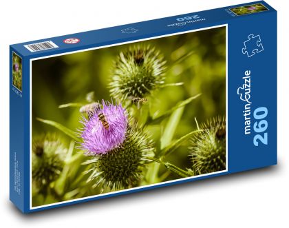 Oset - owad, kwiat - Puzzle 260 elementów, rozmiar 41x28,7 cm