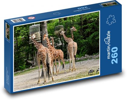 Žirafy - divoké zvíře, Afrika - Puzzle 260 dílků, rozměr 41x28,7 cm