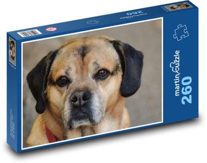 Pes - domácí zvíře, čtyřnohé - Puzzle 260 dílků, rozměr 41x28,7 cm