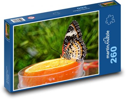 Butterfly - insects, wings - Puzzle 260 pieces, size 41x28.7 cm 