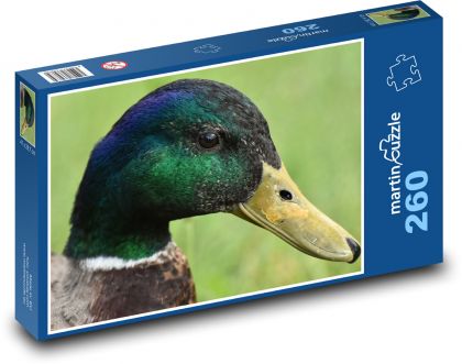 Kačer - vodní pták - puzzle 260 dílků