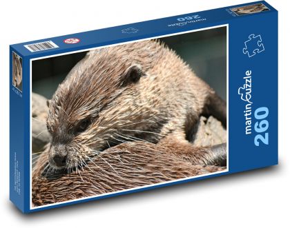 Wydra, ssak, zwierzę - Puzzle 260 elementów, rozmiar 41x28,7 cm