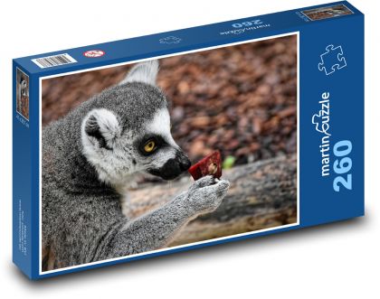 Lemur - małpa, zoo - Puzzle 260 elementów, rozmiar 41x28,7 cm